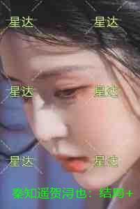 秦知遥贺浔也